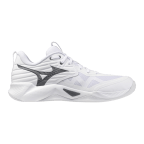 Мужские волейбольные кроссовки Mizuno Wave MOMENTUM PRO (V1GA254083)