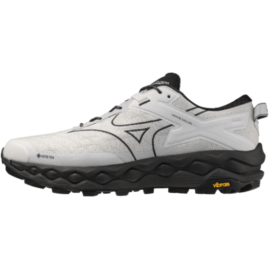 Мужские повседневные кроссовки Mizuno Wave MUJIN LS GTX (D1GA250108) фото 1