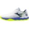 Мужские теннисные кроссовки Mizuno Wave ENFORCE COURT CC (61GC243520)