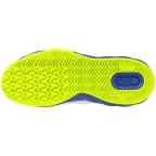 Мужские теннисные кроссовки Mizuno Wave ENFORCE COURT CC (61GC243520)