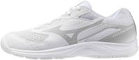 Мужские волейбольные кроссовки Mizuno CYCLONE SPEED 5 (V1GA258052)