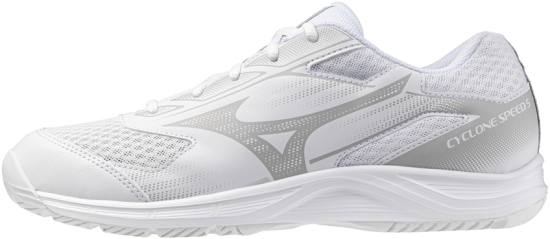 Мужские волейбольные кроссовки Mizuno CYCLONE SPEED 5 (V1GA258052) фото 1