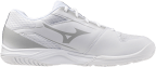 Мужские волейбольные кроссовки Mizuno CYCLONE SPEED 5 (V1GA258052)
