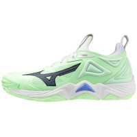 Чоловічі волейбольні кросівки Mizuno Wave MOMENTUM 3 (V1GA231287)