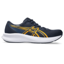 Мужские кроссовки для бега ASICS PATRIOT 14 (1011C050-403)
