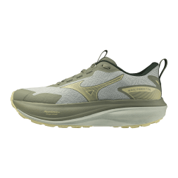 Женские трейловые кроссовки Mizuno Wave RIDER TT 4 (J1GW263271)