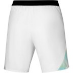 Мужские шорты Mizuno FRONTIER 8 IN AMPLIFY SHORT(M) (62GBC00101)