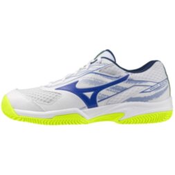 Мужские теннисные кроссовки Mizuno BREAK SHOT 5 CC (61GC252520)