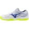 Мужские теннисные кроссовки Mizuno BREAK SHOT 5 CC (61GC252520)