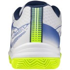 Мужские теннисные кроссовки Mizuno BREAK SHOT 5 CC (61GC252520)