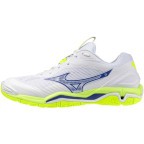 Мужские гандбольные кроссовки Mizuno Wave STEALTH 6 (X1GA243039)