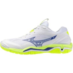Мужские гандбольные кроссовки Mizuno Wave STEALTH 6 (X1GA243039)