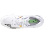 Мужские волейбольные кроссовки Mizuno Wave LIGHTNING Z8 (V1GA240016)