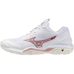 Женские гандбольные кроссовки Mizuno Wave STEALTH 6 (X1GB243073)