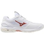 Женские гандбольные кроссовки Mizuno Wave STEALTH 6 (X1GB243073)