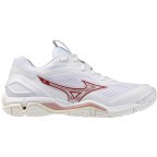 Женские гандбольные кроссовки Mizuno Wave STEALTH 6 (X1GB243073)