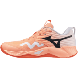 Чоловічі волейбольні кросівки Mizuno Wave MOMENTUM PRO (V1GA254080)