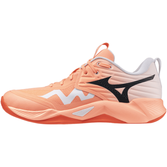 Чоловічі волейбольні кросівки Mizuno Wave MOMENTUM PRO (V1GA254080) фото 1