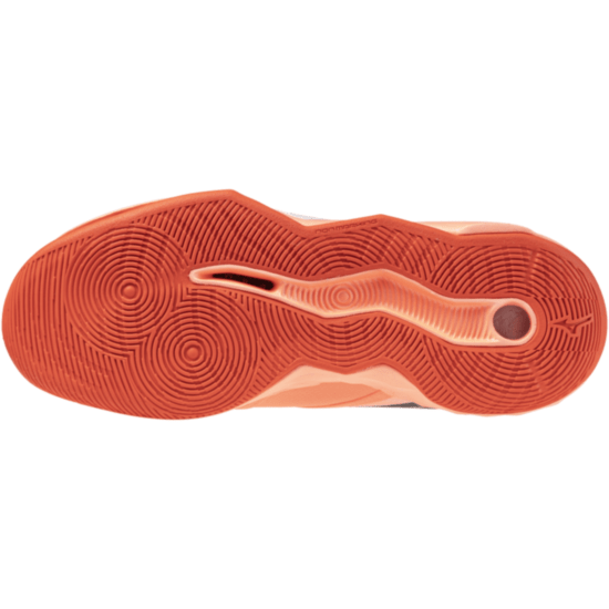 Чоловічі волейбольні кросівки Mizuno Wave MOMENTUM PRO (V1GA254080) фото 2