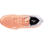 Чоловічі волейбольні кросівки Mizuno Wave MOMENTUM PRO (V1GA254080)