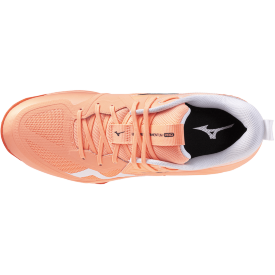 Чоловічі волейбольні кросівки Mizuno Wave MOMENTUM PRO (V1GA254080) фото 4
