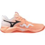Чоловічі волейбольні кросівки Mizuno Wave MOMENTUM PRO (V1GA254080)