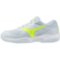 Женские теннисные кроссовки Mizuno BREAK SHOT 5 CC (61GC252620)