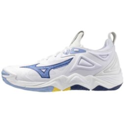 Мужские волейбольные кроссовки Mizuno Wave MOMENTUM 3 (V1GA231297)