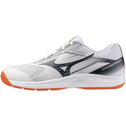 Мужские волейбольные кроссовки Mizuno CYCLONE SPEED 5 (V1GA258080)