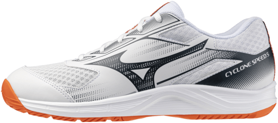 Мужские волейбольные кроссовки Mizuno CYCLONE SPEED 5 (V1GA258080) фото 1