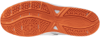 Мужские волейбольные кроссовки Mizuno CYCLONE SPEED 5 (V1GA258080)