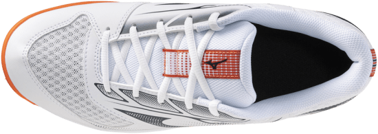 Мужские волейбольные кроссовки Mizuno CYCLONE SPEED 5 (V1GA258080) фото 4