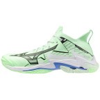 Мужские волейбольные кроссовки Mizuno Wave LIGHTNING NEO 3 (V1GA240286)