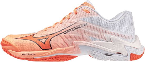 Мужские волейбольные кроссовки Mizuno Wave LIGHTNING ELITE (V1GA260080) фото 1
