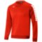 Мужская толстовка Mizuno NARA TRAINING SWEAT M (32FC9A0362)