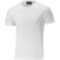 Мужская футболка Mizuno SHIZUOKA FREE TIME TEE M (32EA8A0501)