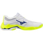 Мужские волейбольные кроссовки Mizuno Wave LIGHTNING ELITE (V1GA260039)