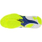 Мужские волейбольные кроссовки Mizuno Wave LIGHTNING ELITE (V1GA260039)