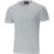 Мужская футболка Mizuno SHIZUOKA FREE TIME TEE M (32EA8A0505)