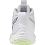 Женские волейбольные кроссовки Mizuno Wave MOMENTUM ELITE MID (V1GC251785)
