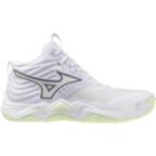 Женские волейбольные кроссовки Mizuno Wave MOMENTUM ELITE MID (V1GC251785)