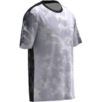 Чоловіча футболка Mizuno GRAPHIC SHORT SLEEVE TEE (SPECIAL PACK) (J2GAD55003)