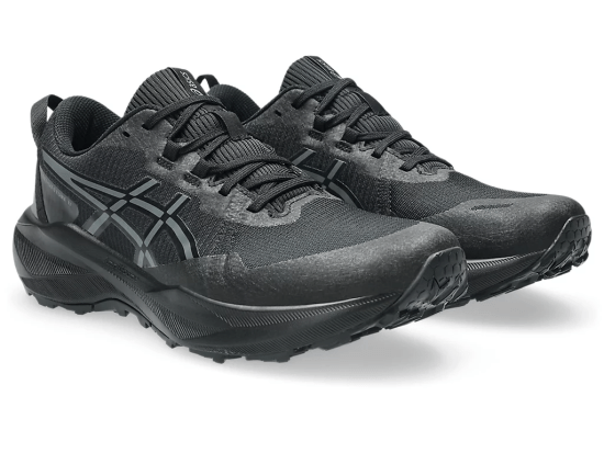Мужские кроссовки для бега ASICS GEL-VENTURE 11 (1011C160-003) фото 2