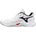 Мужские волейбольные кроссовки Mizuno Wave MOMENTUM PRO (V1GA254059)