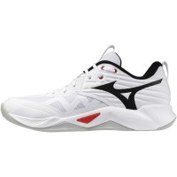 Мужские волейбольные кроссовки Mizuno Wave MOMENTUM PRO (V1GA254059)