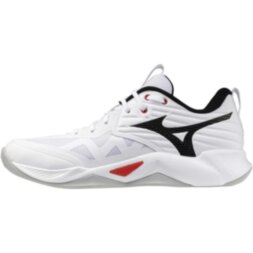 Мужские волейбольные кроссовки Mizuno Wave MOMENTUM PRO (V1GA254059)