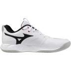 Мужские волейбольные кроссовки Mizuno Wave MOMENTUM PRO (V1GA254059)