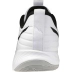 Мужские волейбольные кроссовки Mizuno Wave MOMENTUM PRO (V1GA254059)
