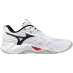 Мужские волейбольные кроссовки Mizuno Wave MOMENTUM PRO (V1GA254059)