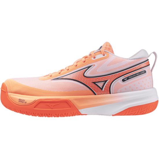 Мужские волейбольные кроссовки Mizuno NEO JUMP (V1GA259980) фото 1